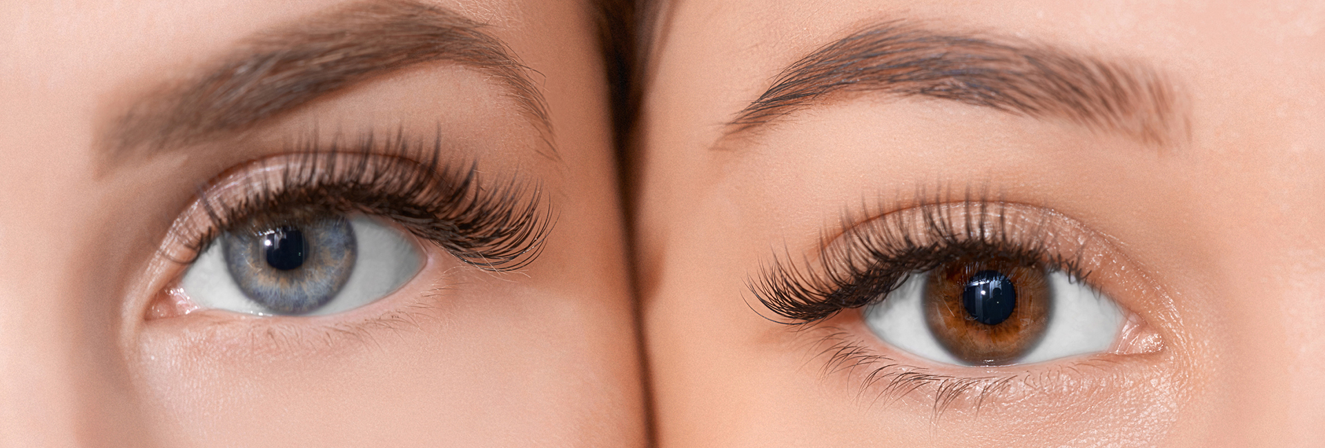 Bettina Toth - Magic Lash