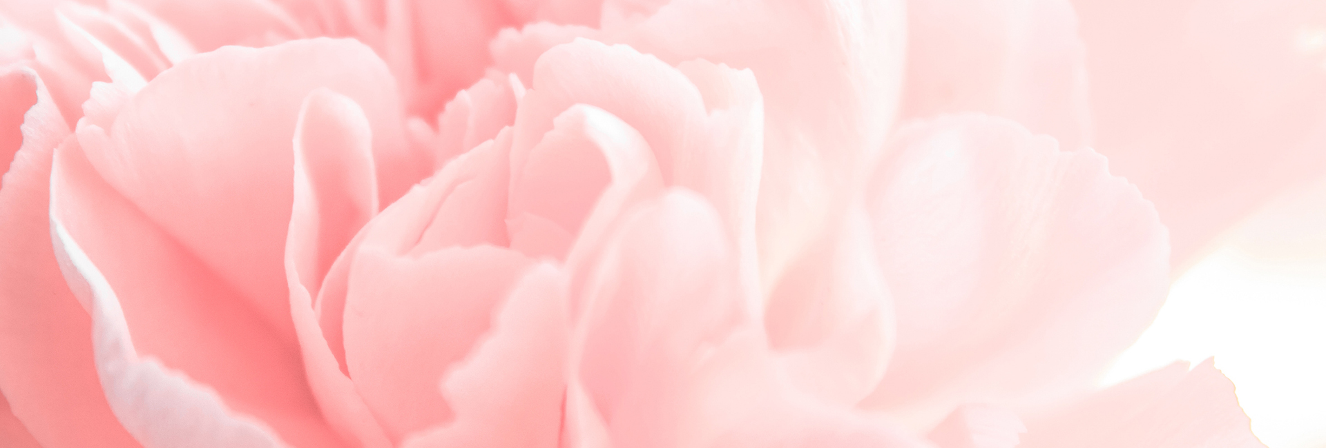 Bettina Toth - Magic Lash