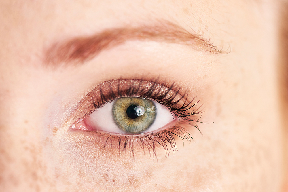 Bettina Toth - Magic Lash