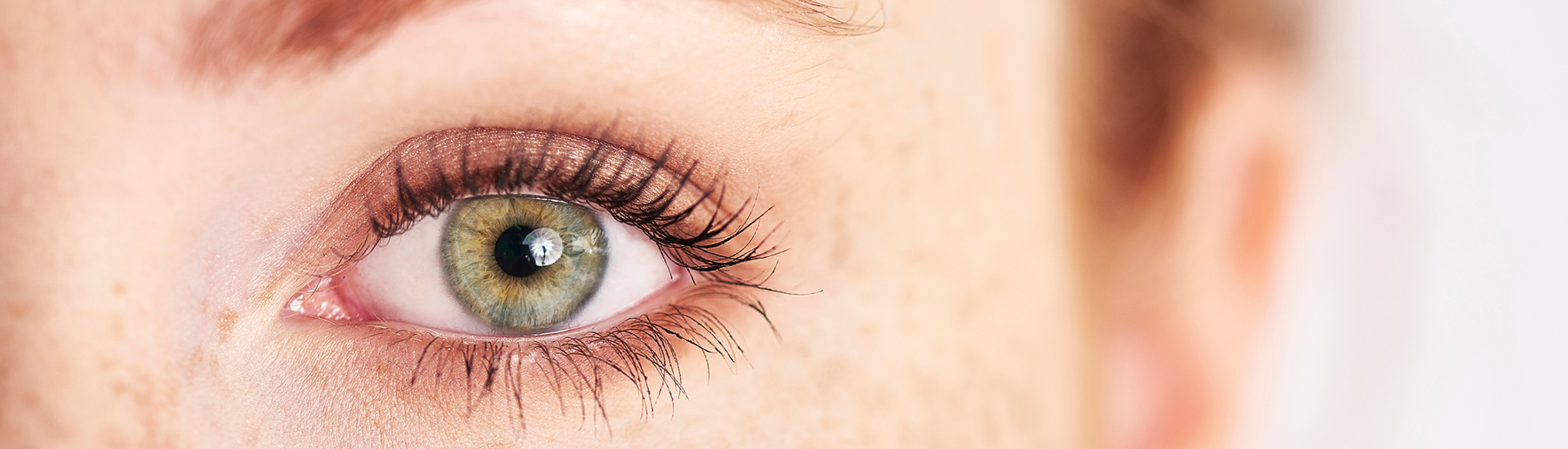 Bettina Toth - Magic Lash